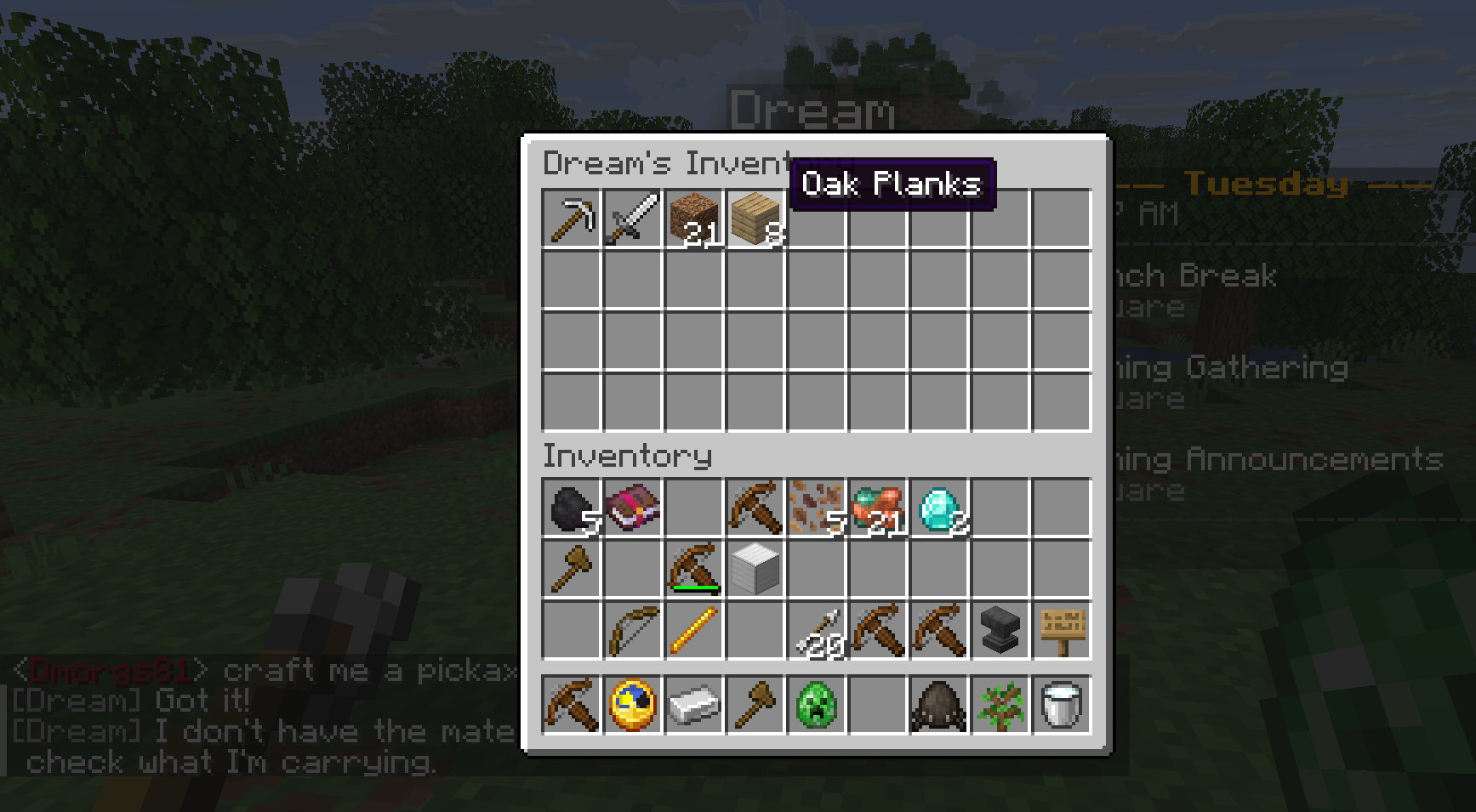 Viewing a bot''s inventory in-game