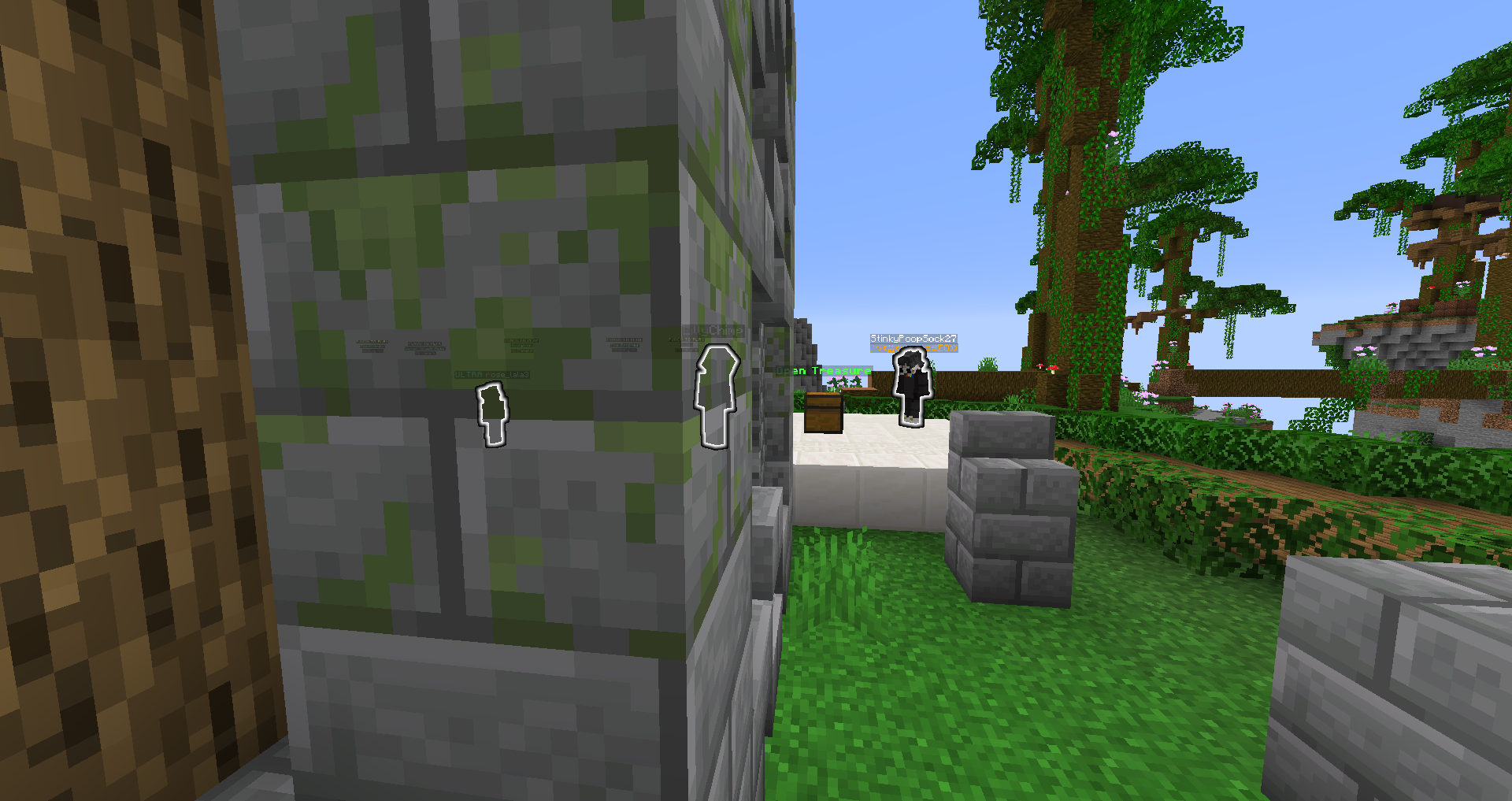 Tracer mods showing player silhouettes through solid blocks