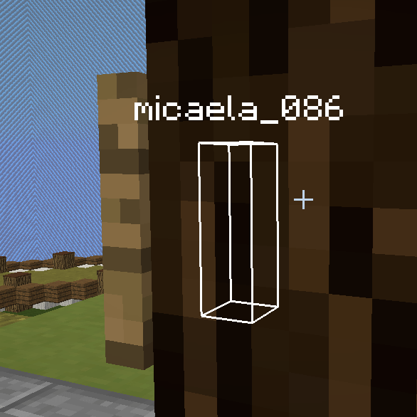 Mods that draw entity hitboxes through walls to "track" players